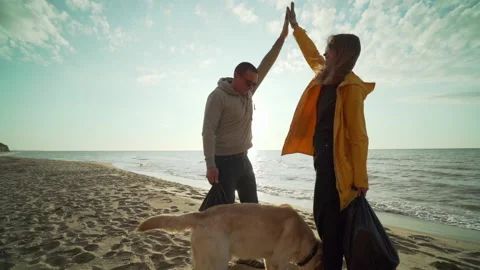 Young cool couple making high five after cleaning a beach at sunrise with dog Stock Footage 171168591