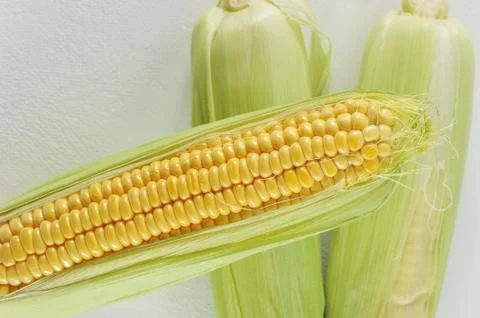 Young corn cob on white background Stock Photos