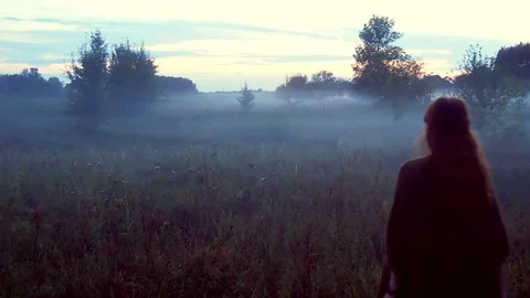 Young Country Lady Walks In The Grass Into The Distance At Dusk Stock Footage 113867553