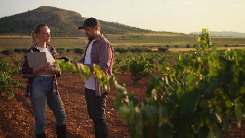 Young couple of agronomists using a digital tablet for data analysis while .. Stock Footage 341472366