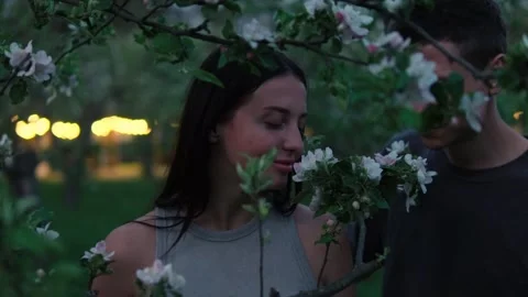 Young couple approaches blooming tree and breathes in floral scent. Sharing a Video stock 308648466