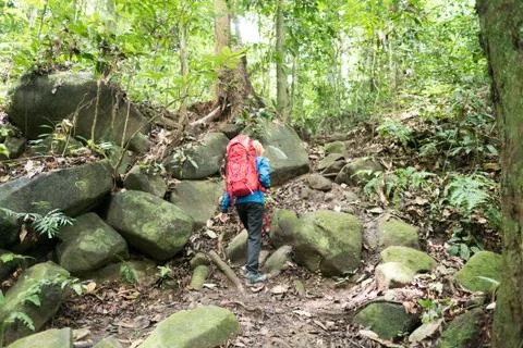 Young couple with backpack walking in the forest Stock Photos
