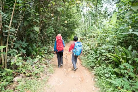 Young couple with backpack walking in the forest Stock Photos
