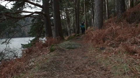 Young couple with backpacks hiking in forest near the lake 스톡 동영상 88104938