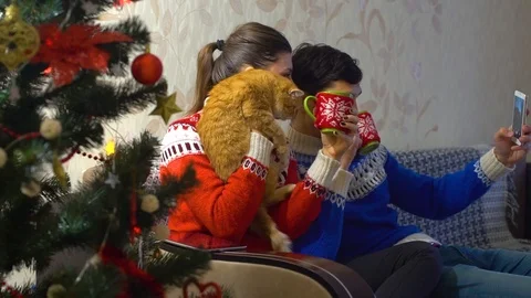 Young couple bonding to each other and smiling while making selfie with cat Stock Footage 100266943