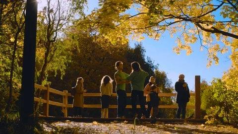 Young couple dancing on the bridge in the park Stock Footage 96685370