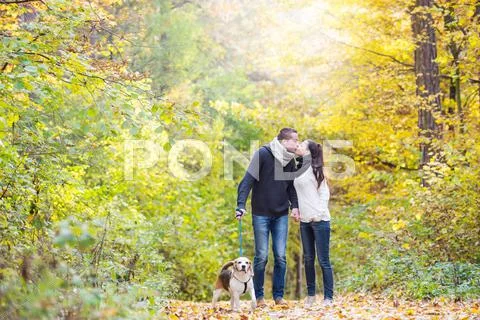 Young couple with dog on a walk in autumn forest Stock Photos