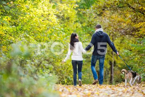 Young couple with dog on a walk in autumn forest Stock Photos
