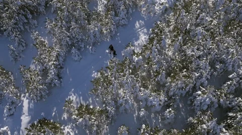 Young couple enjoy on the snow Vidéo 58745323
