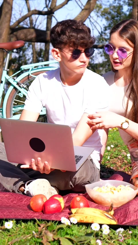 Young couple enjoying a tech savvy picnic in the park Stock Footage 303485085