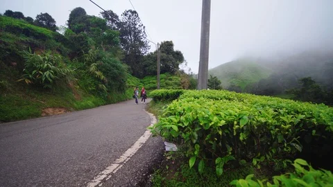 Young couple, enjoying view at tea farm, Genting Highlands, adventure journey Stock Footage 121390029