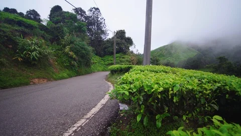 Young couple, enjoying view at tea farm, Genting Highlands, adventure journey Stock Footage 121390046