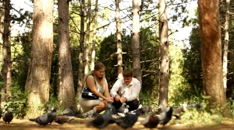 Young Couple Feed The Pigeons Stock Footage 52725440