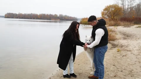 A young couple feed their pet Samoyed treats during a walk along the riverbank Stock Footage 322658720