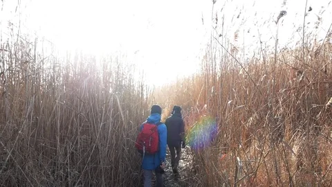 Young couple in fields Stock Footage 85402593