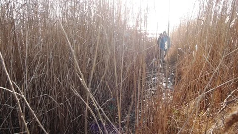 Young couple in fields Stock Footage 85402642