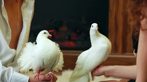 Young Couple Stock Footage 52522369