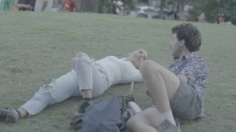 A young couple is hanging out on the grass in a park in Buenos Aires, Argentina Stock-Footage 345138022