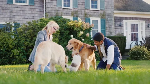 A young couple have fun in the backyard of the house - playing with a dog Stock Footage 133437694