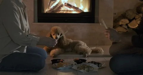 Young couple have romantic dinner sushi rolls over fireplace background. Stock Footage 100413599