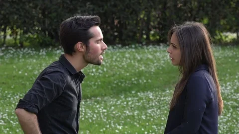 Young couple having an animated discussion in a meadow Stock Footage 72942533