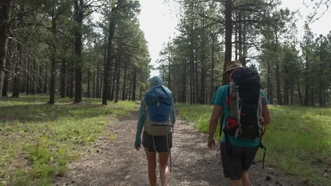 A young couple having fun while backpacking in the forest Stock Footage 94620352