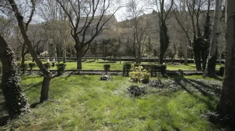 Young couple having a run in the park. Stock Footage 22201183
