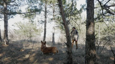 Young couple of hikers Stock Footage 88837856