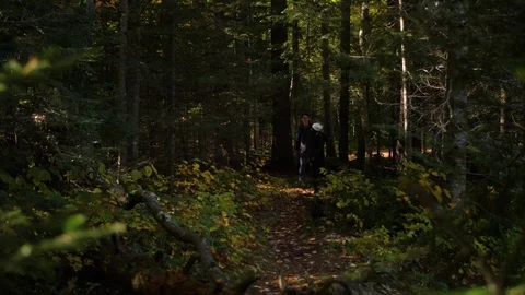 Young Couple Hikes Through Beautiful State Forest Stock Footage 102401412