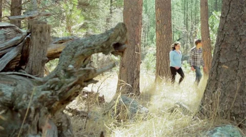 Young Couple Hikes Through Forest Stock Footage 50145182