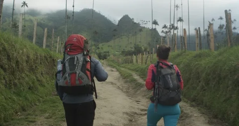 Young couple hiking and looking up at wax palm trees in Colombia Stock Footage 86150720