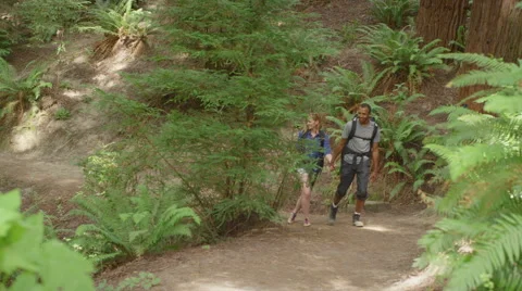 Young couple hold hands as the hike down forest path Stock-Footage 44790763
