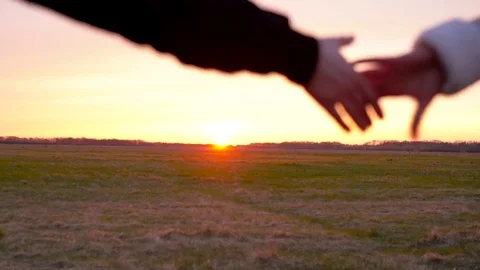Young couple holding hands run through a wide field, having fun outdoors, slow Stock Footage 75155641