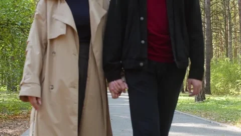 Young Couple Holding Hands Walking in Autumn Park Stock Footage 314031890