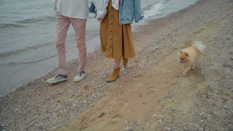 Young couple holding hands walking with dog on the beach Stock Footage 328559261