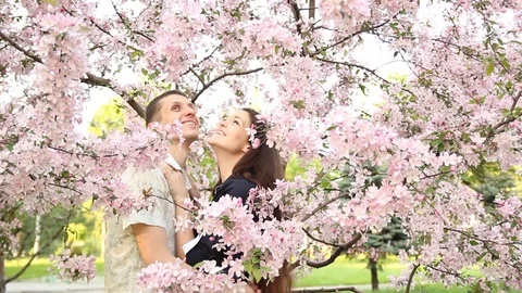 Young couple hugging and smiling in the crown of a flowering tree Stock Footage 90824834