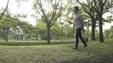 Young couple hugging in park Stock Footage 106316501