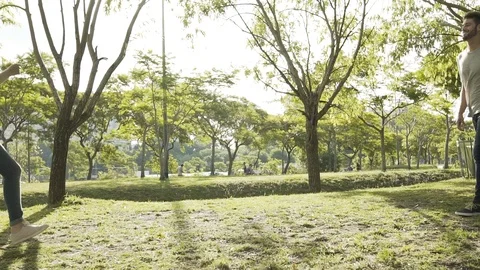 Young couple hugging in park Stock Footage 106316542