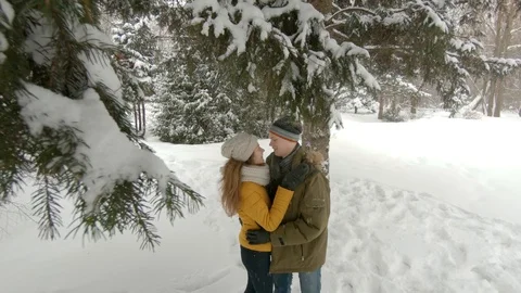 Young couple hugging in winter park Stock Footage 102339825