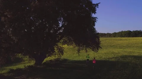 Young couple jogging in the middle of the fields. Big tree at sunset Vídeo Stock 76317551