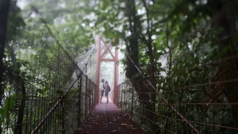 Young couple in jungle Video stock 79094664
