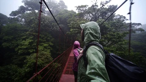 Young couple in jungle Stock Footage 79094745