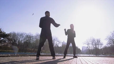 Young couple of karate fighters Stock Footage 85239227