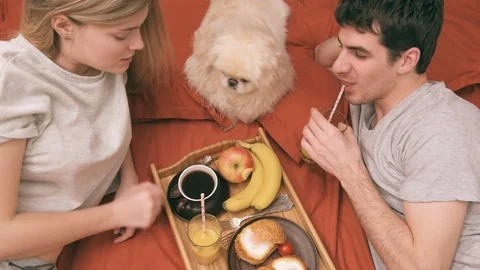 Young couple is lying in bed with dog and having a healthy breakfast. 動画素材 74075797