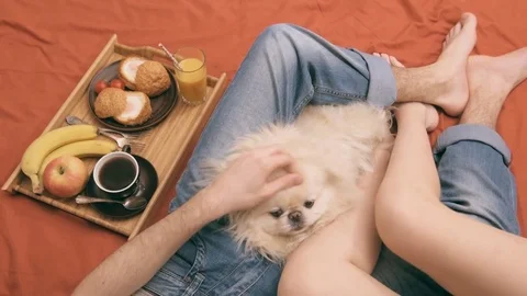 Young couple is lying in bed with dog and having a healthy breakfast. 動画素材 74076036