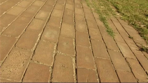 Young couple in park running Stock Footage 43683706