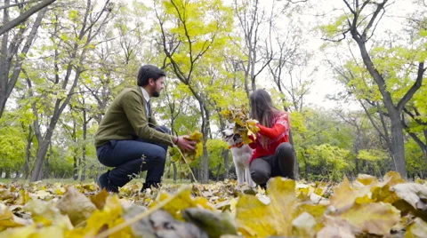 Young couple playing with a husky dog in the autumn park slow motion Stock Footage 59796944
