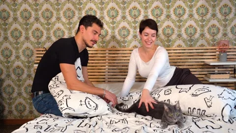 Young couple is playing with their cat on the bed. Stock-Footage 229556054
