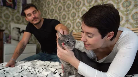 Young couple is playing with their cat on the bed. Stock Footage 229653363