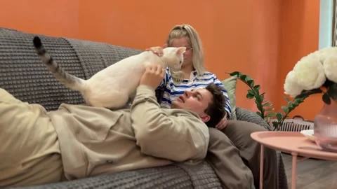 Young couple plays with white cat in cozy home setting Stock Footage 313829979